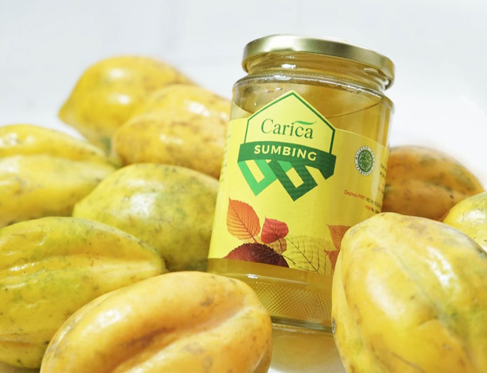 Manfaat Buah Carica Bagi Kesehatan Dan Berbagai Khasiatnya - Carica Sumbing