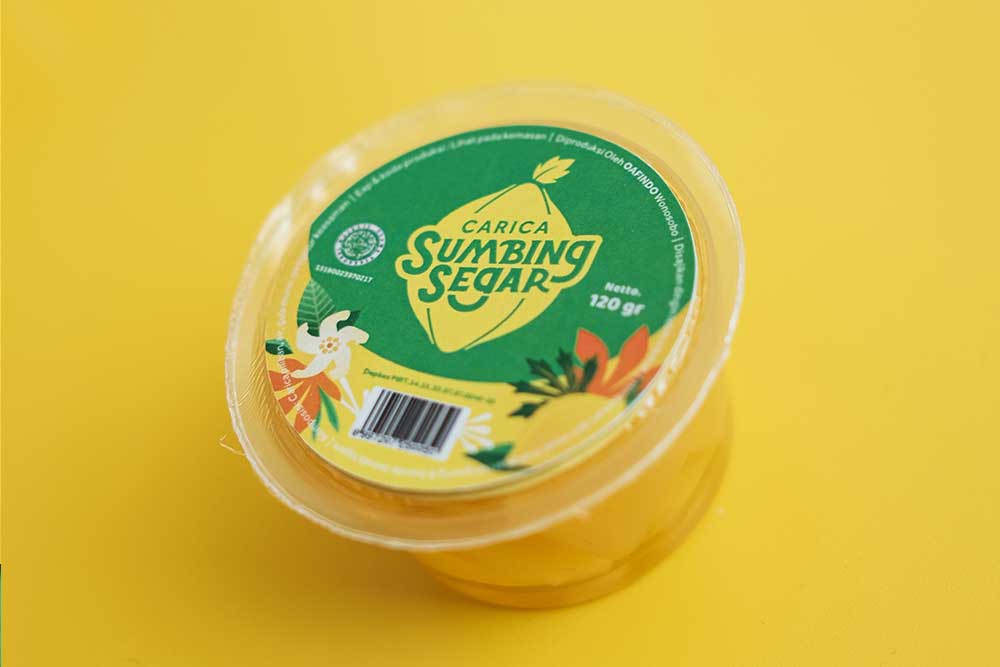 ciri-ciri-buah-carica carica